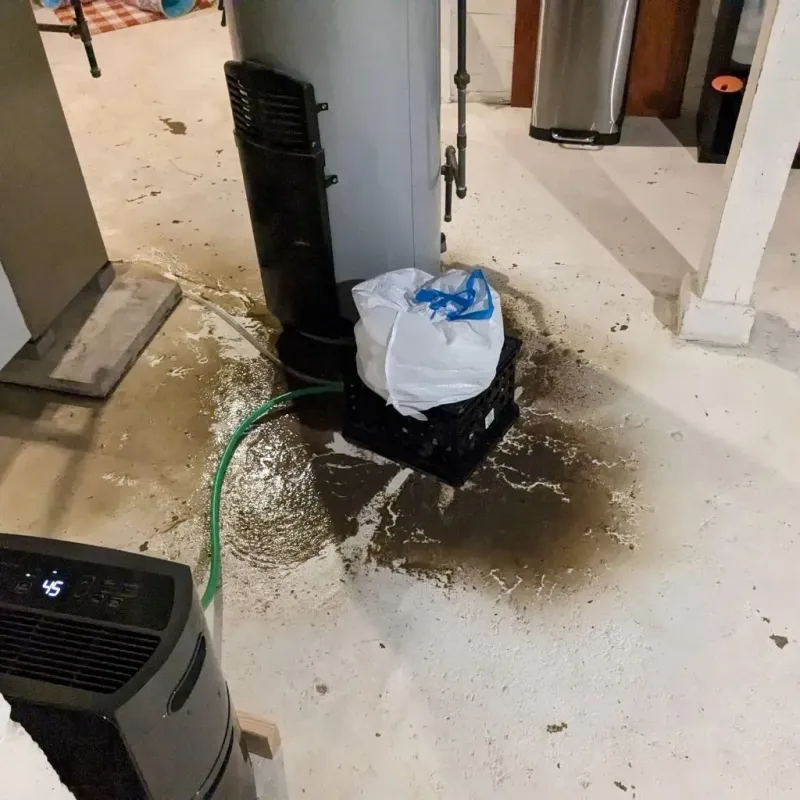 Sewage Backup Cleanup Service in Budd Lake, NJ